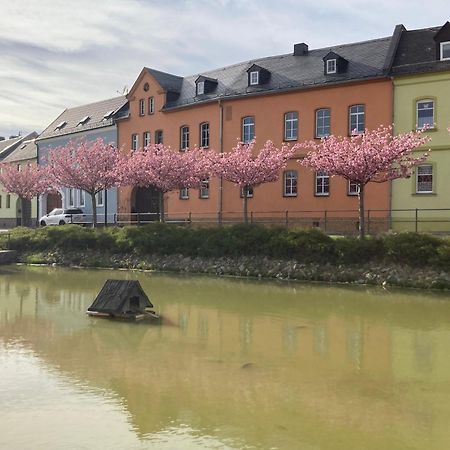 Pension Und Ferienwohnung Am Teich Schleiz Kültér fotó