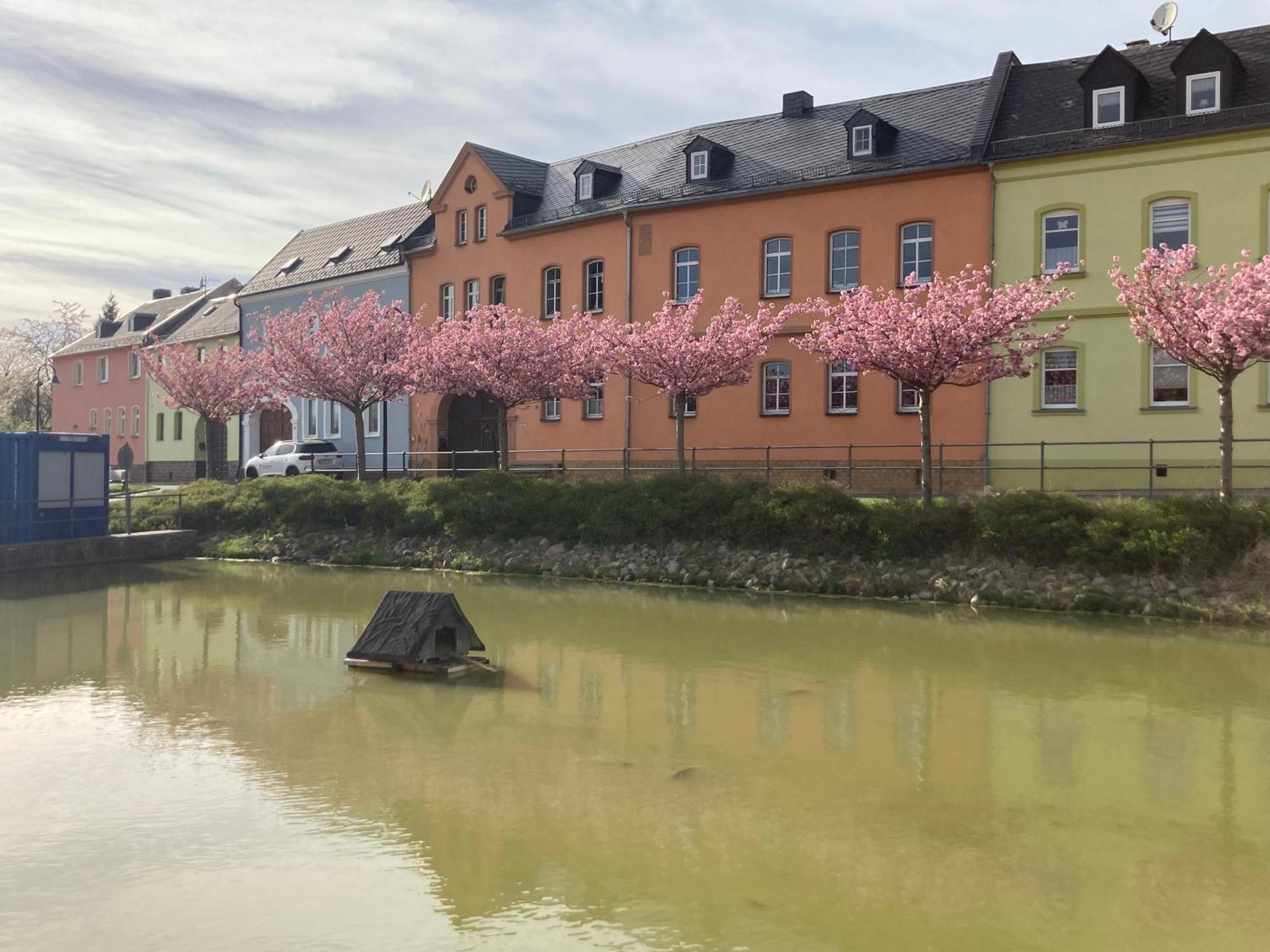 Pension Und Ferienwohnung Am Teich Schleiz Kültér fotó